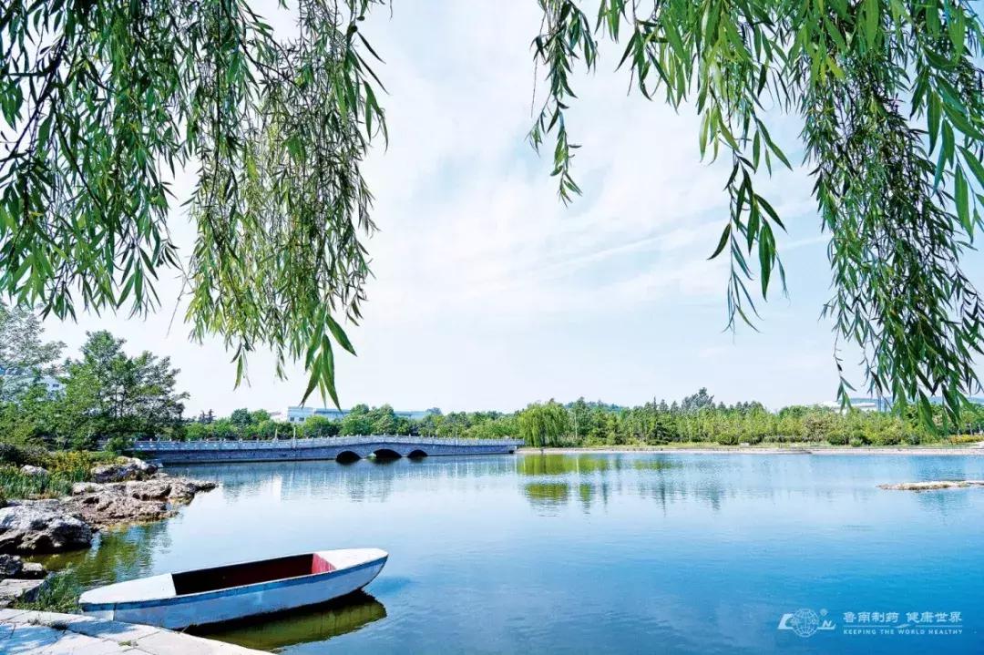 除了工资低点什么都好,除了风景还能干啥