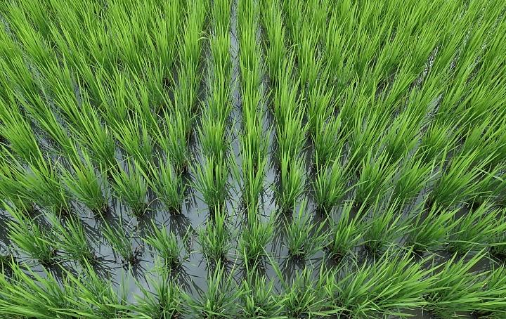 leica徕卡c-lux2多少钱,徕卡clux变焦