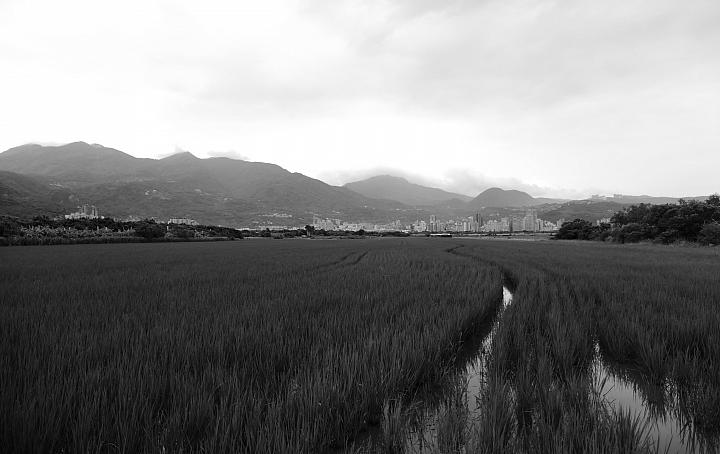 leica徕卡c-lux2多少钱,徕卡clux变焦