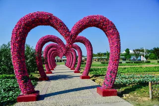 跟着萌宠过国庆，准备好迎接惊喜了吗？