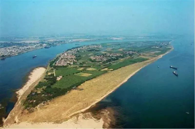 食在广东寻味顺德,食在肇庆