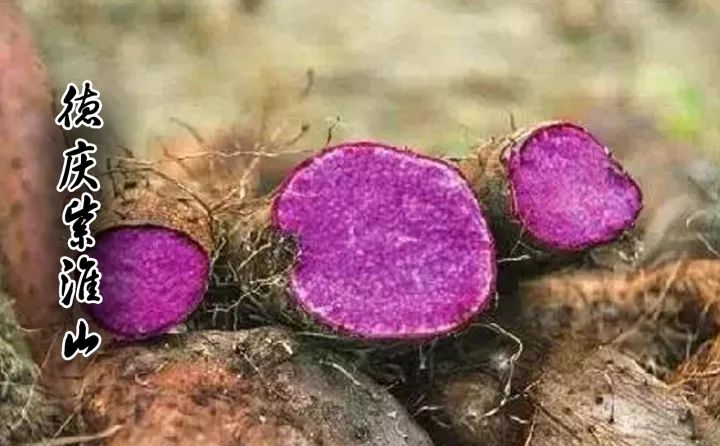 食在广东寻味顺德,食在肇庆