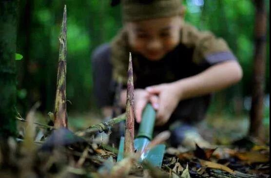 南川方竹笋哪里正宗,南川三泉镇好吃方竹笋的店推荐