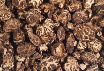 干蘑菇长白色绒毛还能吃？这些处理小妙招了解一下