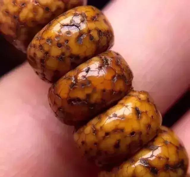 百年老星月手串,百年老星月盘玩视频