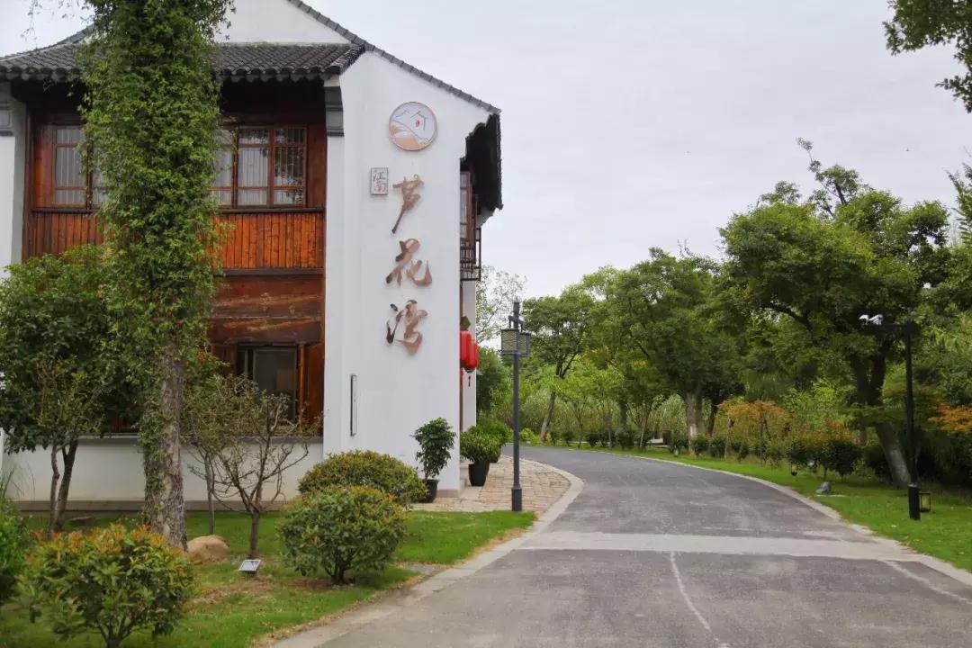 沙家浜芦苇荡游玩体验感想,沙家浜风起芦苇荡