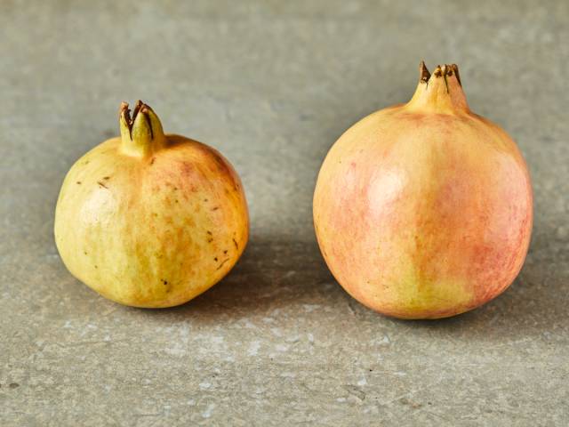 头茬正宗突尼斯软籽石榴,石榴突尼斯软籽石榴黑珍珠