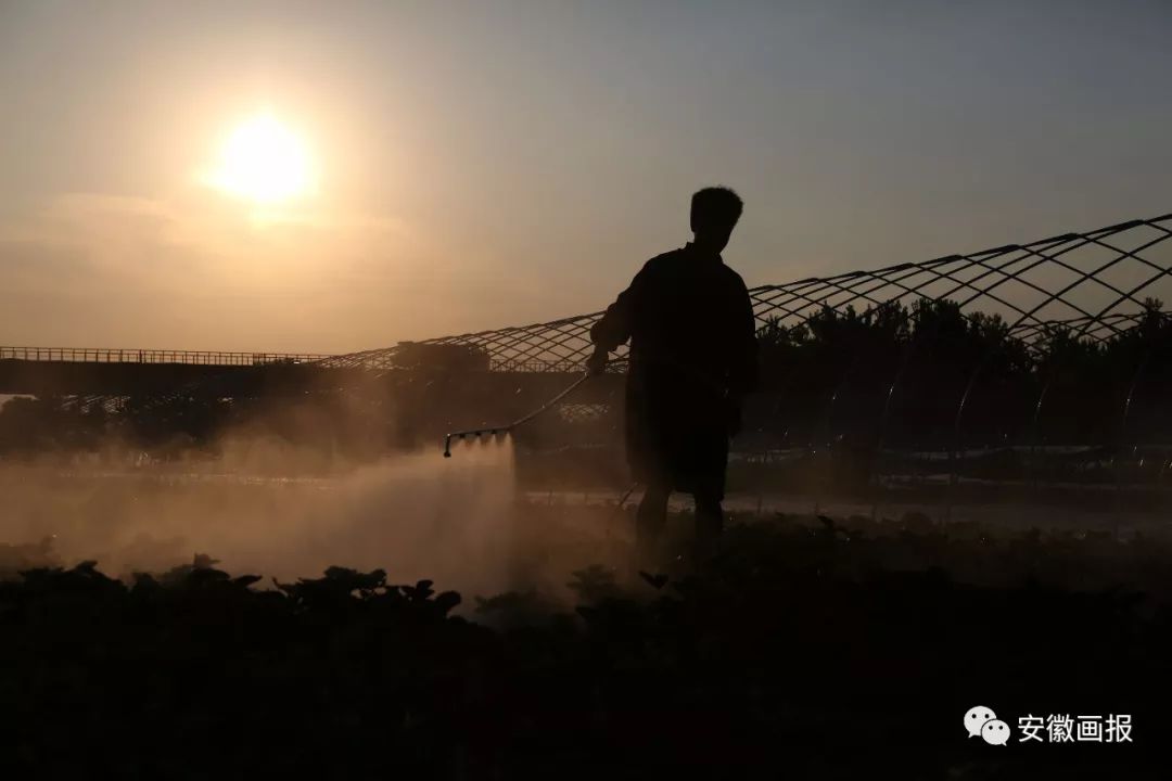 收看此心安处是吾乡专题片简报,观看此心安处是吾乡专题片