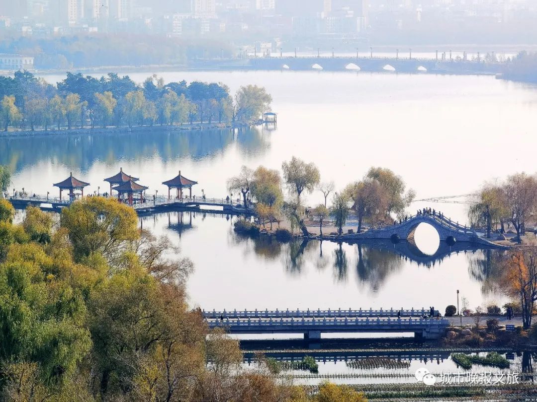 城晚拍拍丨秋色如画