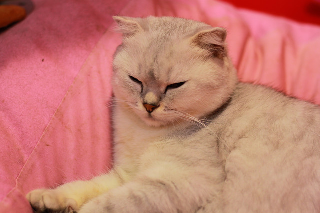 上海魔都奇妙减压馆,魔都减压视频完整版