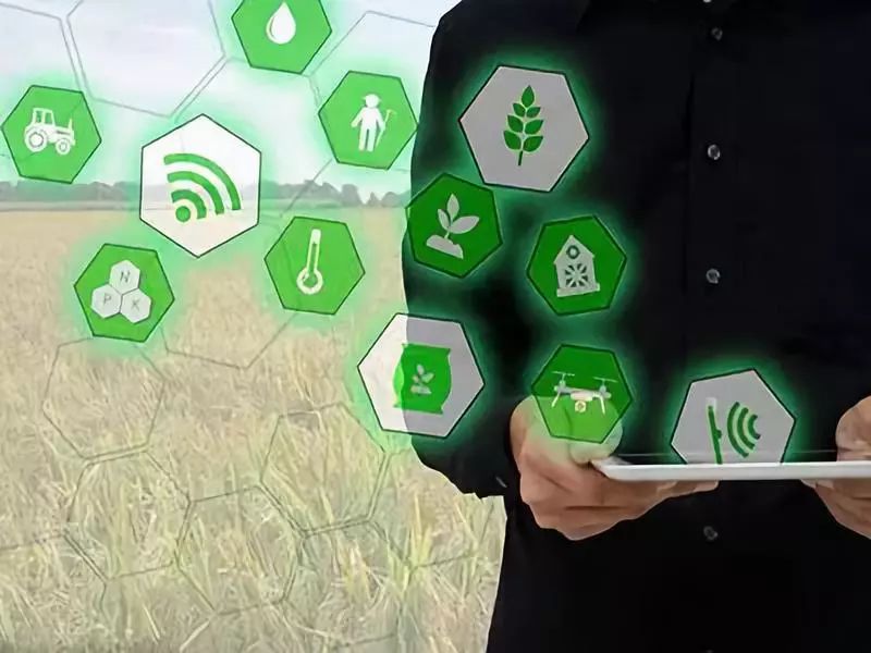 互联网农业新的春天来临,互联网农业发展过程中有哪些困境