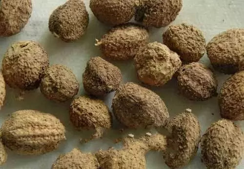 万物之间的相生相克,自然界中的万物相生相克