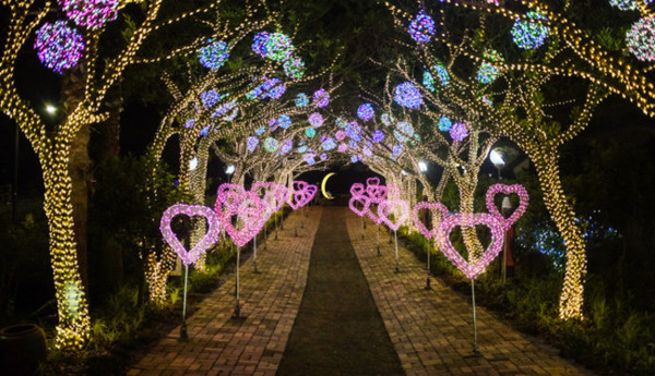 济州岛一年往返12次,到济州岛旅行行程