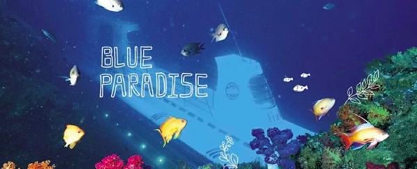 济州岛一年往返12次,到济州岛旅行行程