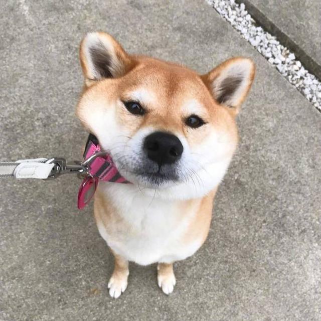 早安坚持励志正能量的句子朋友圈,晚上加班发朋友圈励志的精美句子