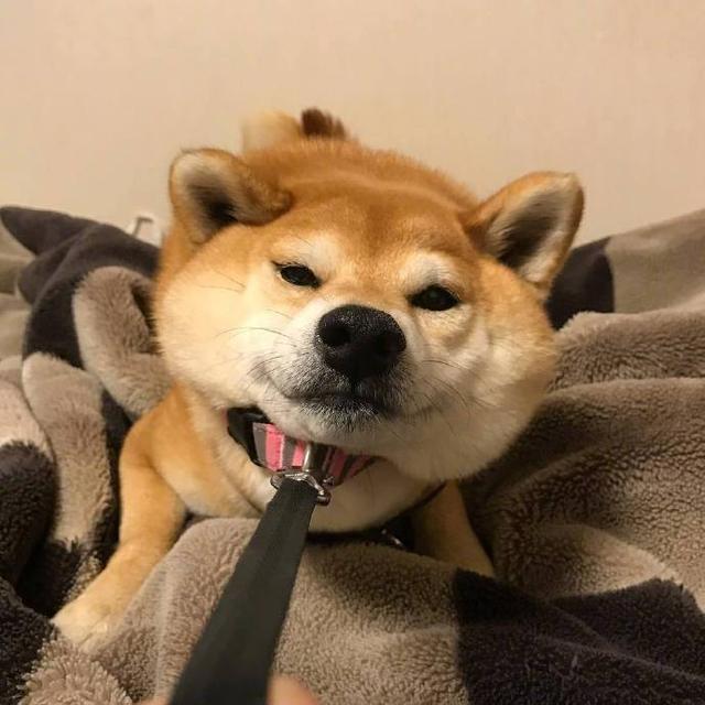 早安坚持励志正能量的句子朋友圈,晚上加班发朋友圈励志的精美句子