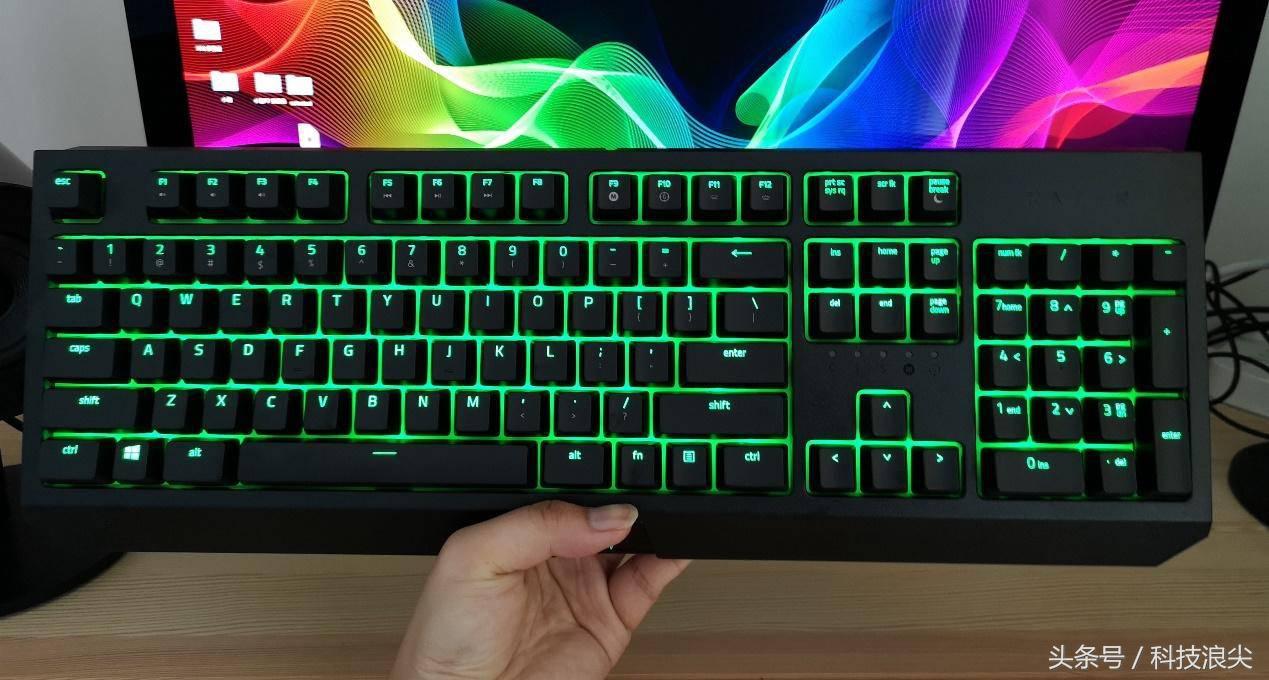 雷蛇黑寡妇蜘蛛标准版比较,雷蛇黑寡妇v3按键压感不一样