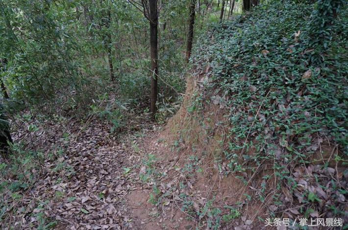 关公父子是怎么遇害的,关公败走麦城如何被杀