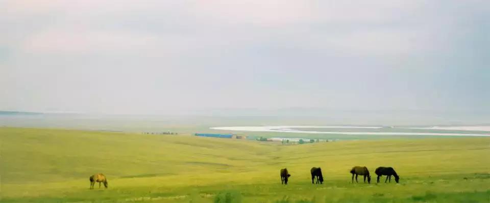 哪个景区厕所最差？游客网络评价报告来啦！海滨浴场最差！