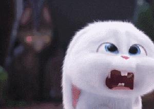 明星的抬头纹,明星抬头纹怎么去除的