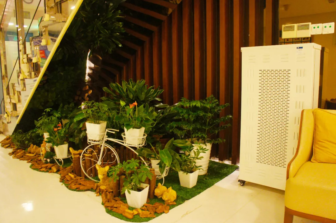 图说｜高“绿”预警！揭秘和睦家启望中心的8个绿色“心机”