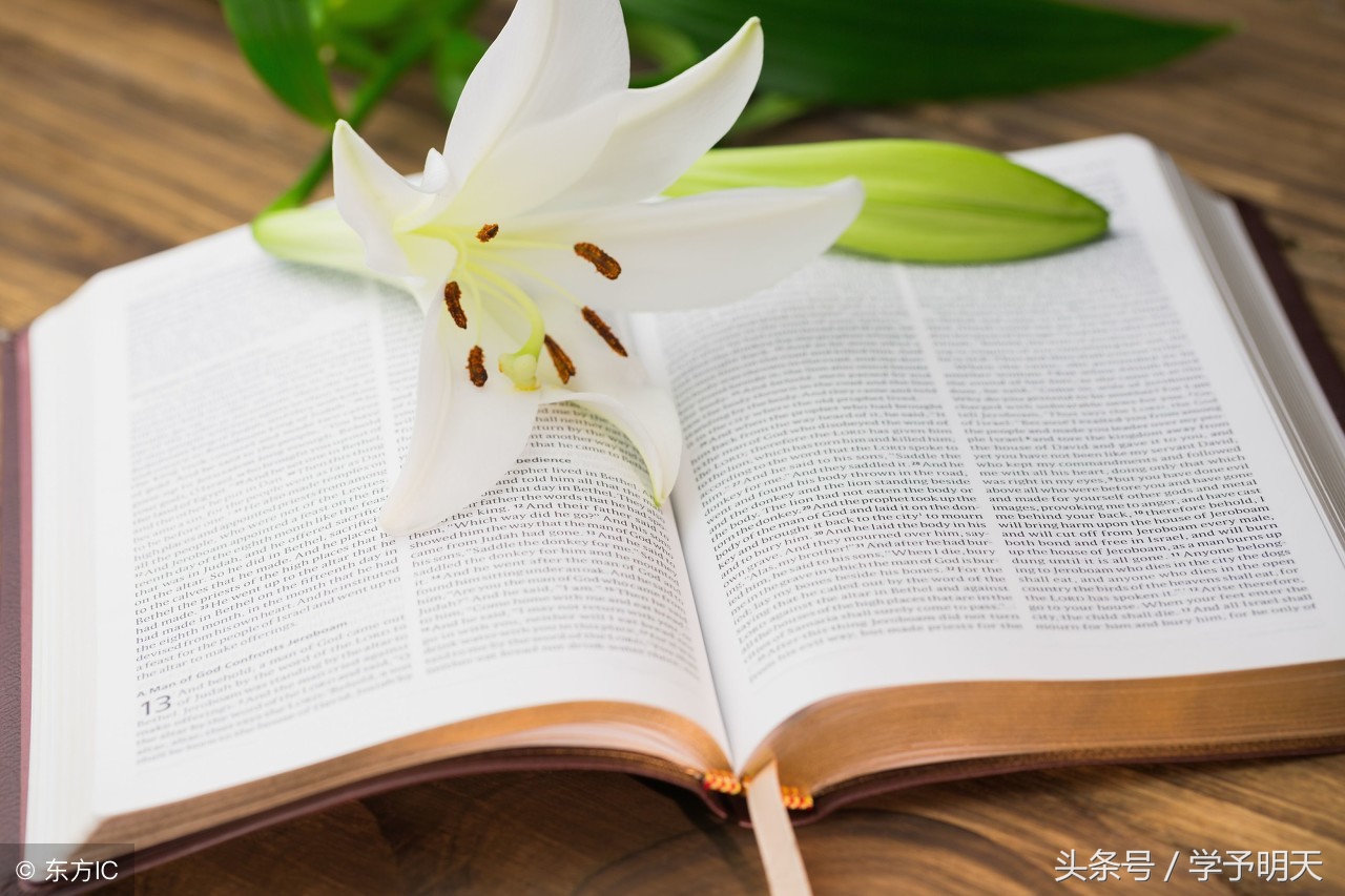 大语文学习：二十四史简介