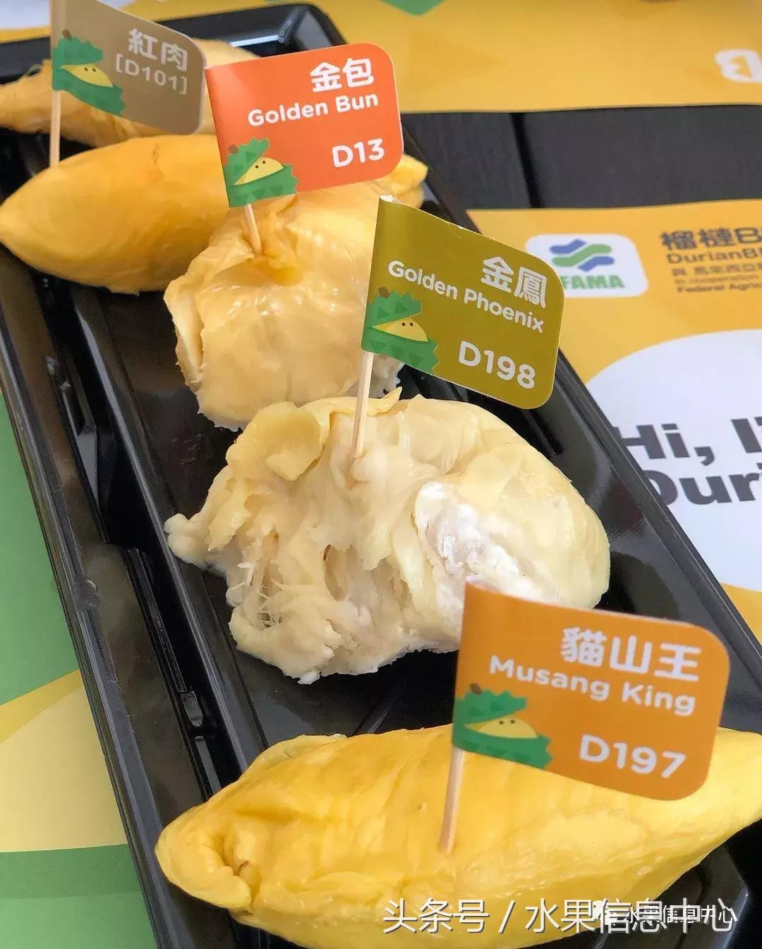 从榴莲代购起家，到64个实体销售点，他势要打造一个榴莲王国