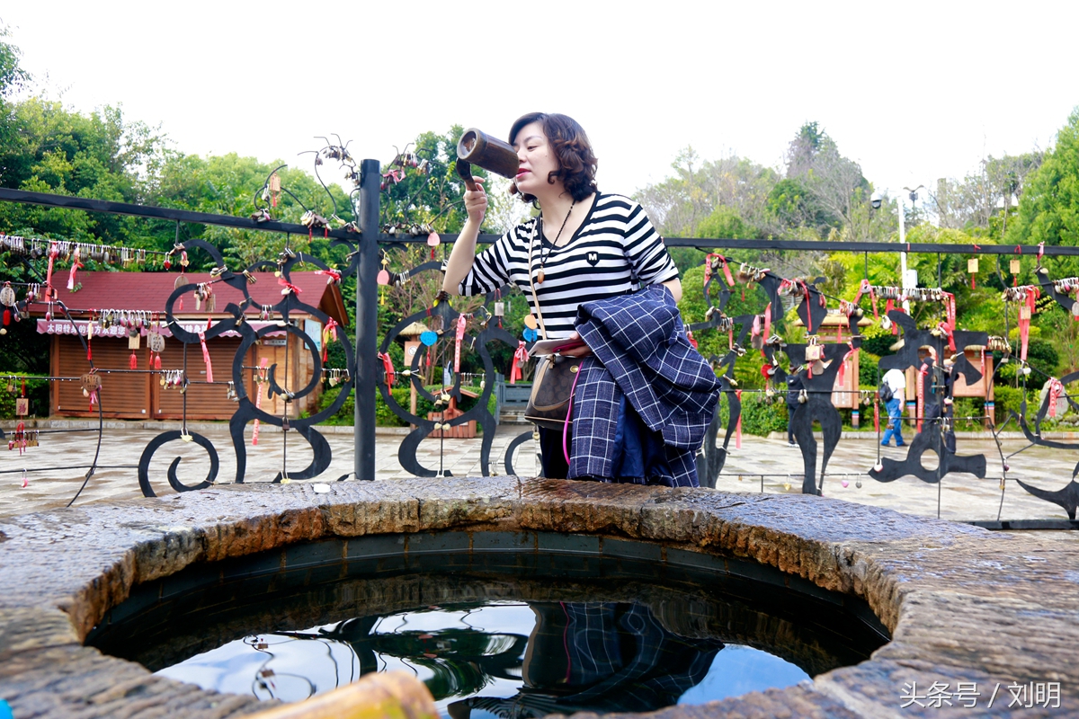 蚂蚁旅游专线云南之旅,蚂蚁旅游行