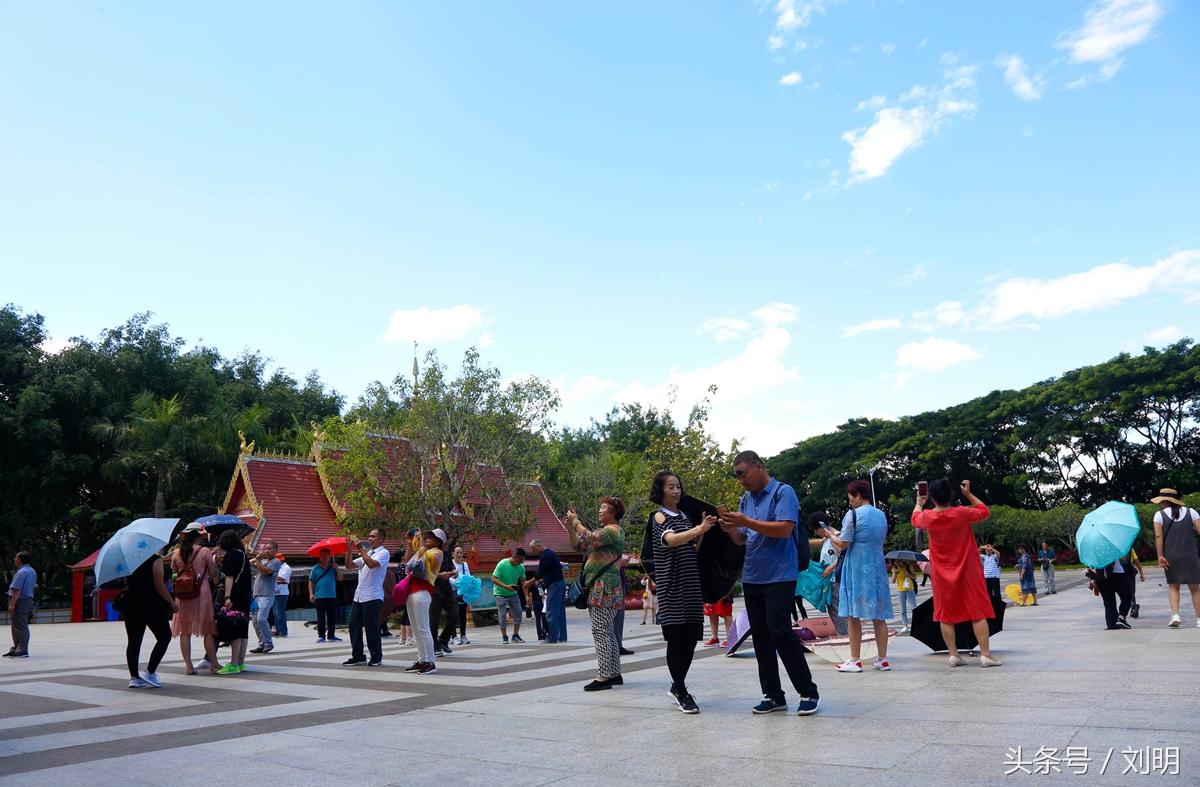 蚂蚁旅游专线云南之旅,蚂蚁旅游行