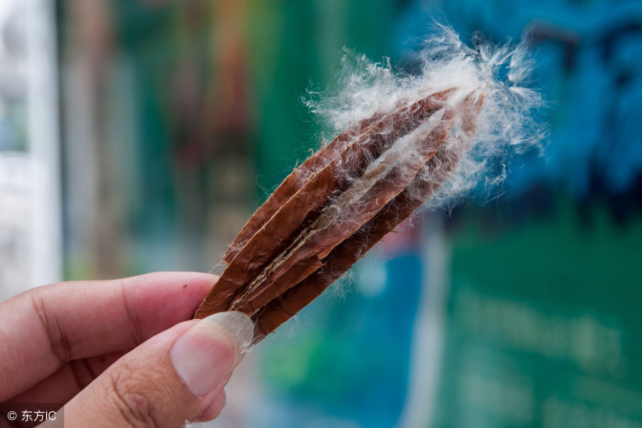 儿科医生鼻炎用药,儿科医生护理过敏性鼻炎