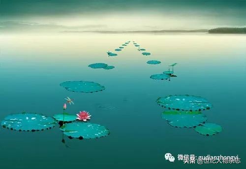 前半生拼命赚钱,前半生赚钱后半生看病