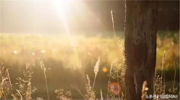 那些你不知道的书籍,那些你不知道的宝藏网站