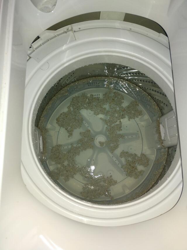 滚筒洗衣机真的能除螨虫吗,洗衣机放什么清除螨虫