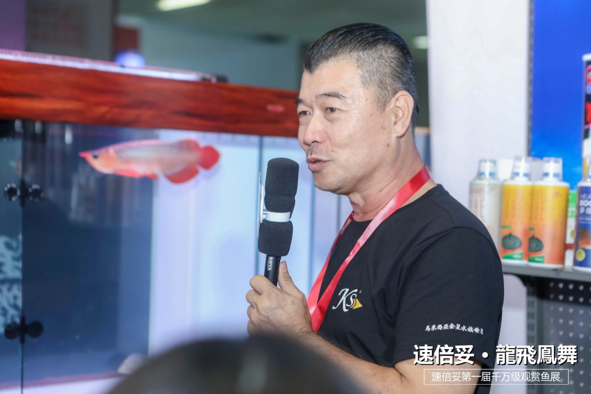 十大顶级巨型观赏鱼视频播放,顶级观赏鱼高清全屏视频