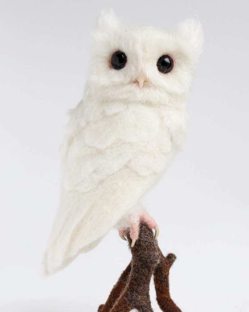 第一眼竟然以为它会动！26个好像有灵魂附体的拟真羊毛毡