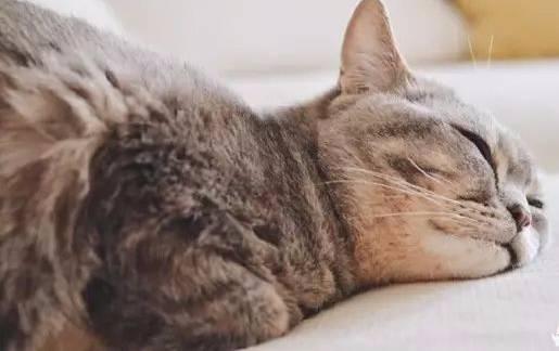 生孩子治痛经真的假的,生孩子真的可以治痛经么