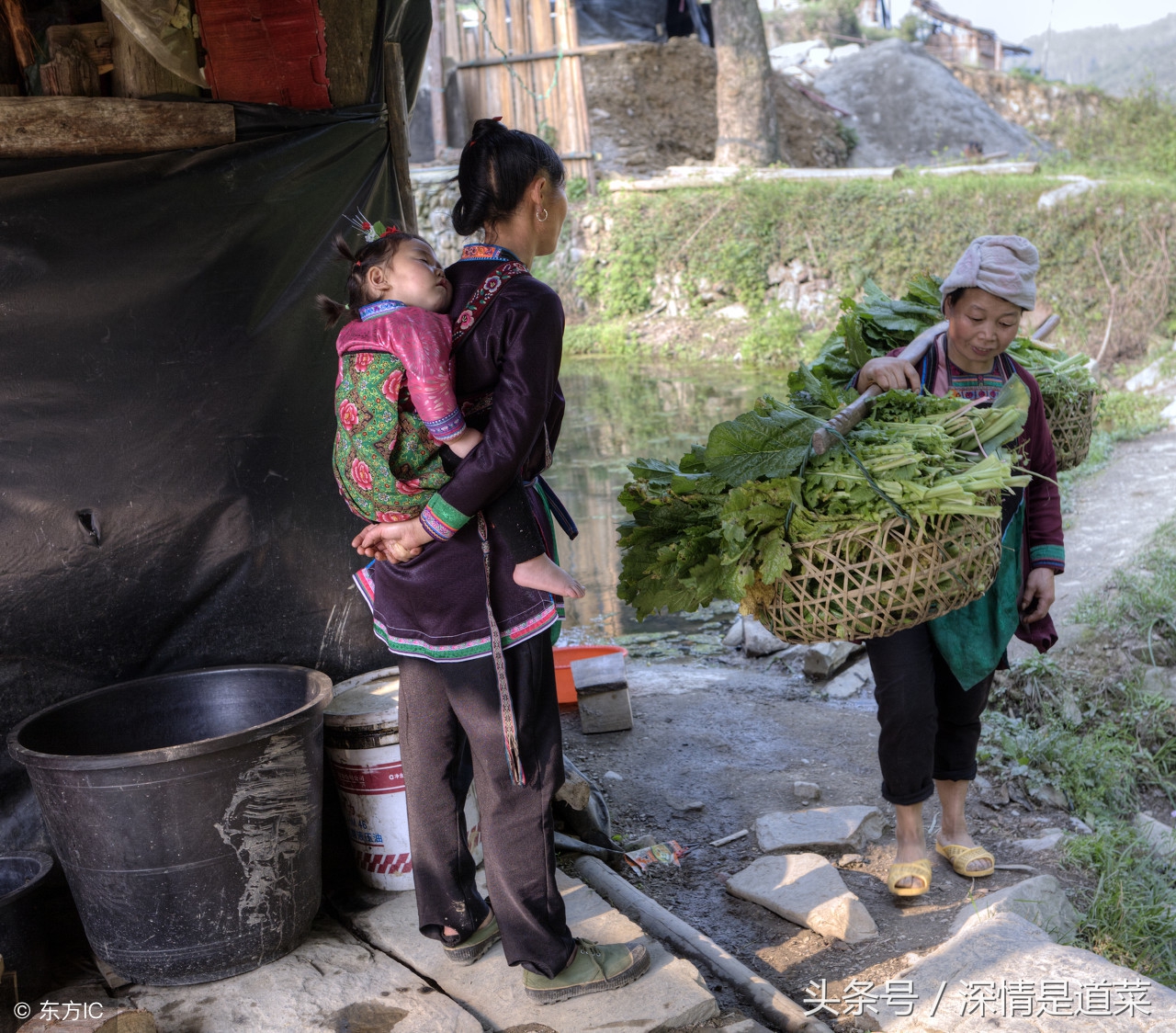 像猴子的那个网红女孩,那个像猴子面孔的女孩