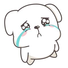 六安外国语学校小学生宿舍,六安外国语学校寄宿