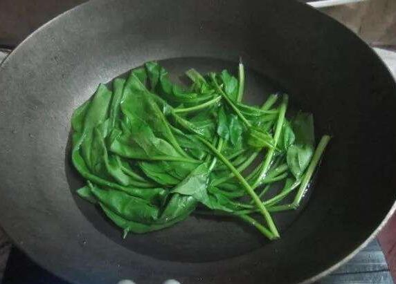 绿萝长得慢你知道原因吗,绿萝长得太慢