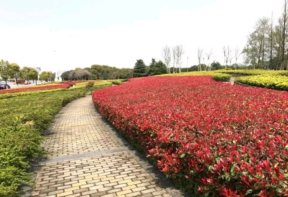 南昌所有旅游景点,南昌49个景点免费