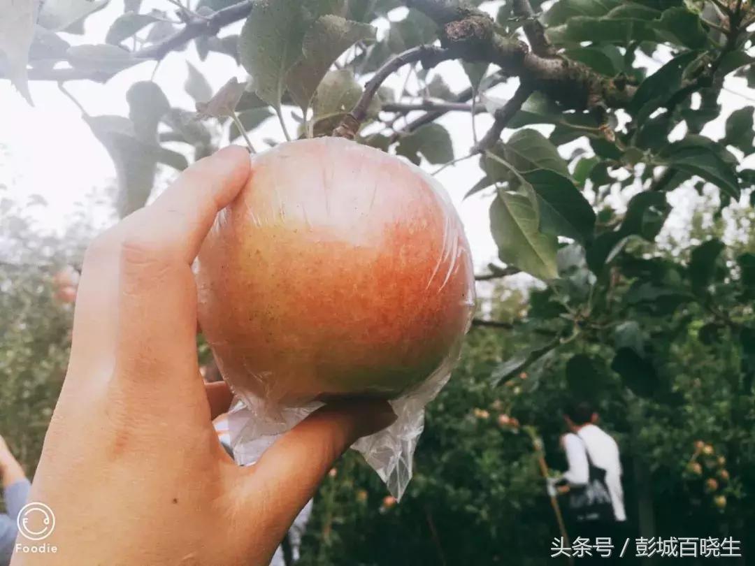 国庆节丰县附近旅游景点推荐,国庆节徐州去哪里玩好