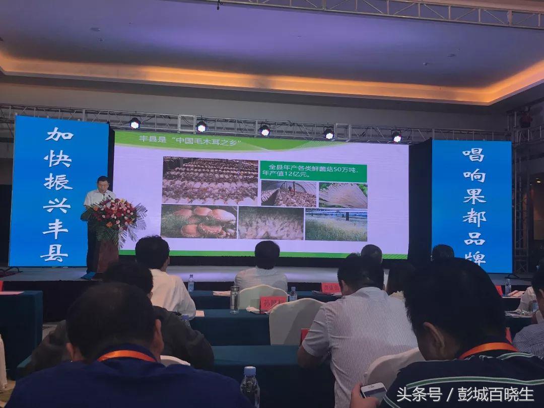 国庆节丰县附近旅游景点推荐,国庆节徐州去哪里玩好