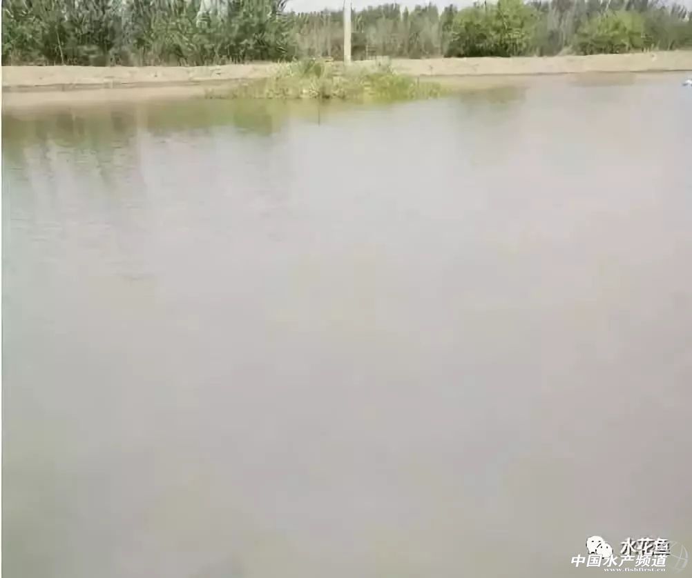 如何辨别好水,怎么分辨好水和坏水