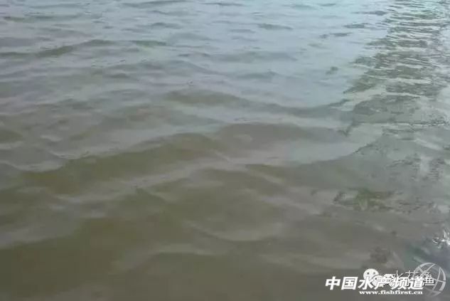 如何辨别好水,怎么分辨好水和坏水