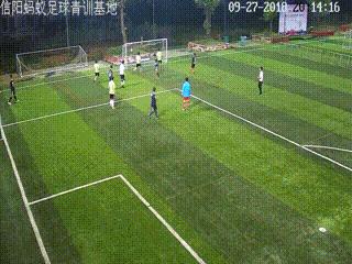 信阳大黄蜂足球,河南信阳蚂蚁足球俱乐部