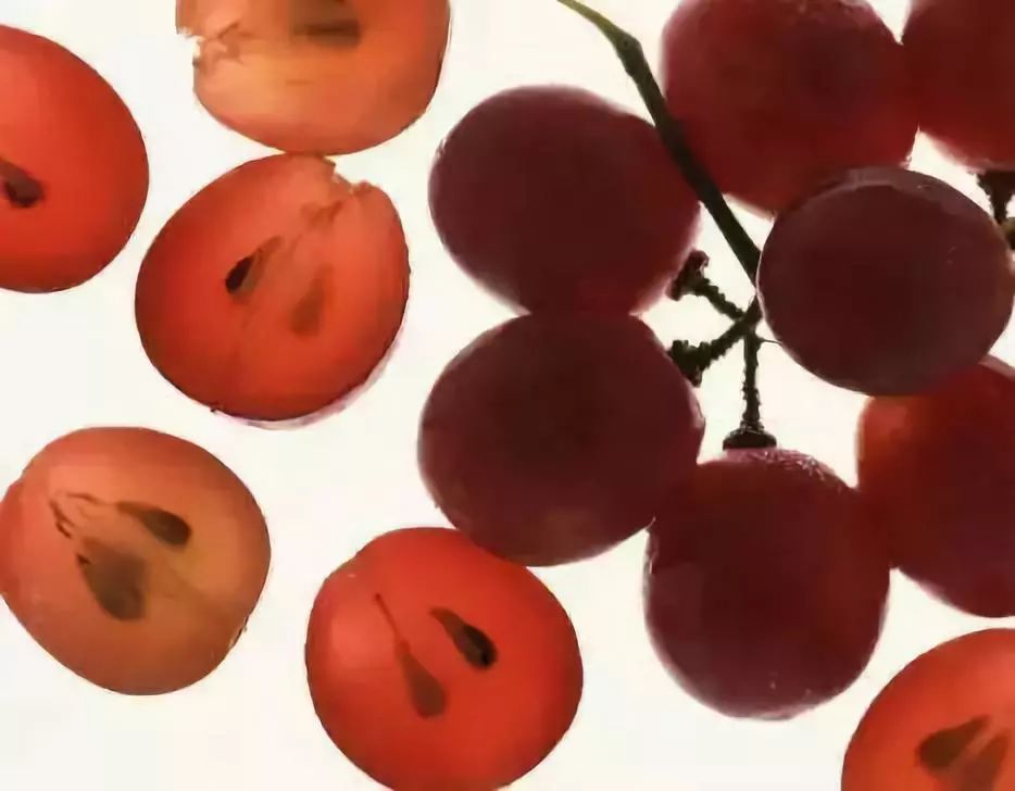 澳洲美白丸效果怎么样,澳洲美白丸28天测评真实