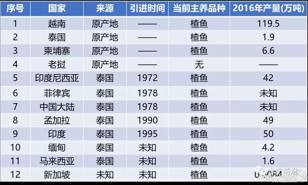 我国哪些地方养殖巴沙鱼,巴沙鱼养殖广东