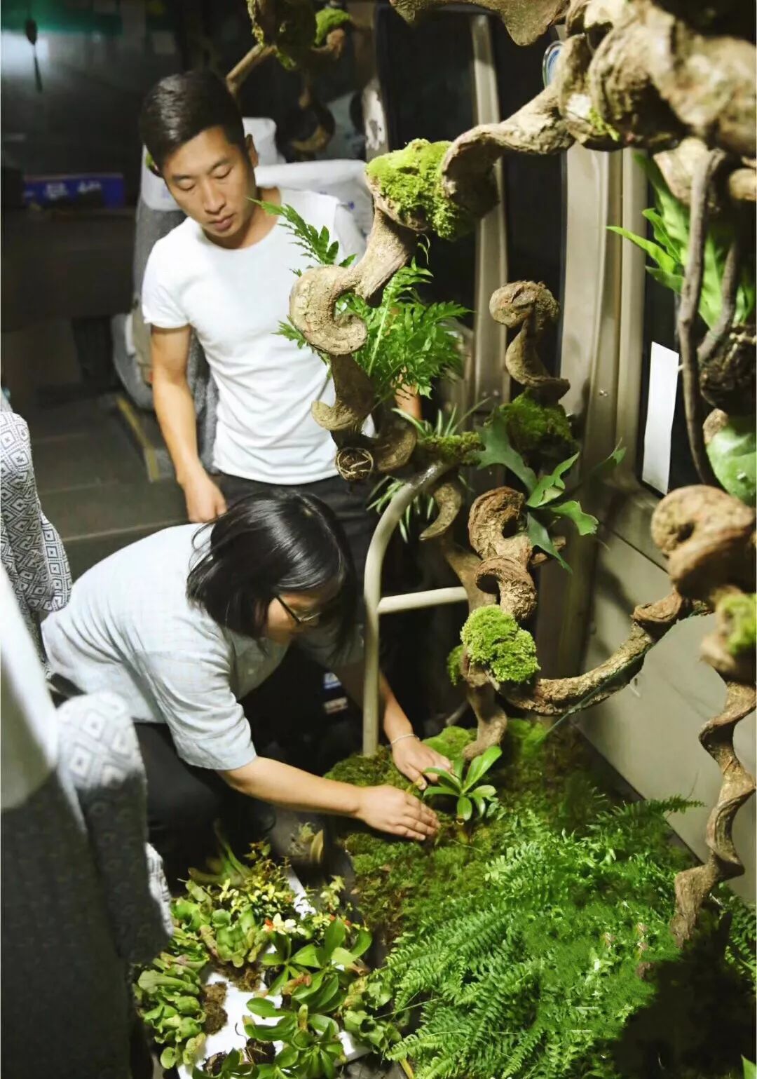 花好月圆N次方——第三届北京国际花植节绽放设计周郎园分会场