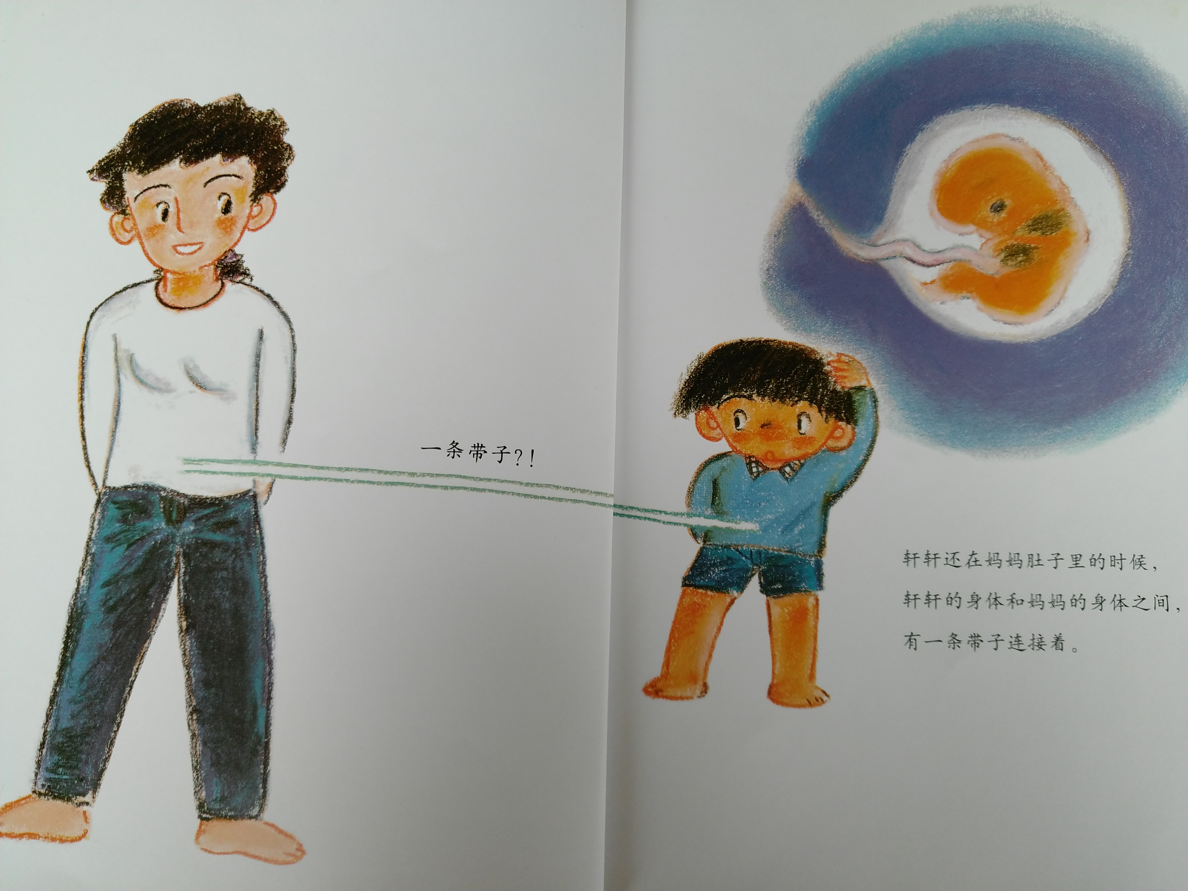 有声绘本故事小猪,肚脐的故事有声绘本