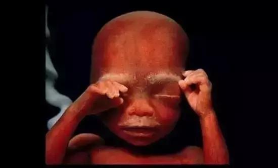 人类精子是怎么诞生的,人类进化史从精子到胎儿